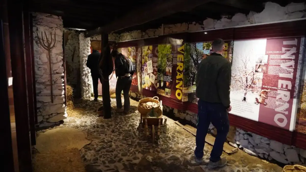 Museo de la Castaña. Pujerra