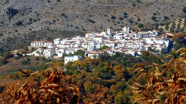 Cartajima