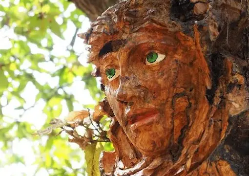 Una escapada al mágico Bosque encantado de Parauta