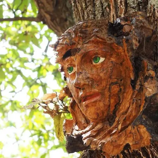 Una escapada al mágico Bosque encantado de Parauta