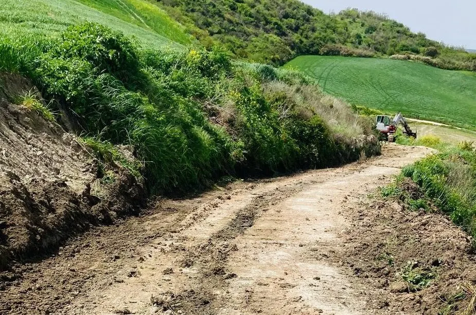 El Ayuntamiento abrirá el camino Ronda-Montecorto parcialmente para que agricultores y ganaderos puedan acceder a sus explotaciones