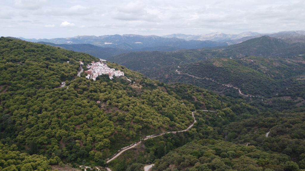 Pujerra