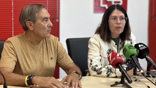El PSOE de Marbella exige al Ayuntamiento que licite de inmediato el proyecto de desdoblamiento de la carretera de Ronda en San Pedro
