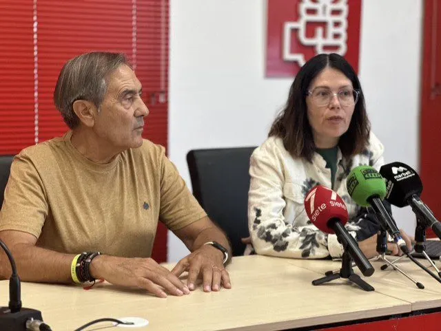 El PSOE de Marbella exige al Ayuntamiento que licite de inmediato el proyecto de desdoblamiento de la carretera de Ronda en San Pedro