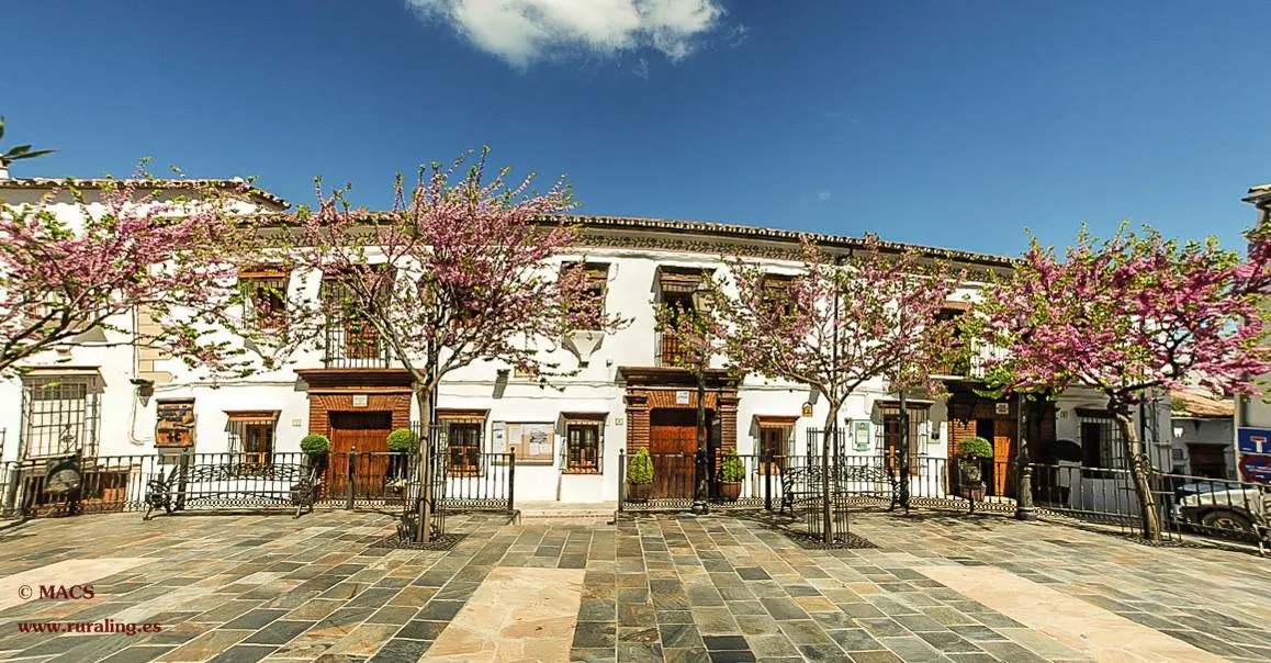 Ayuntamiento de Benalauría
