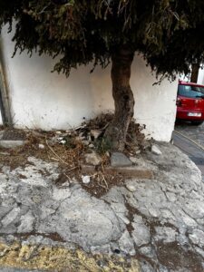Indignación vecinal por el abandono de la calle Albahaca en Ronda 1 Indignación vecinal por el abandono de la calle Albahaca en Ronda