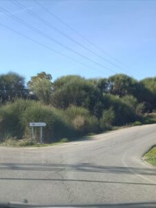 “La mejora de la movilidad en Ronda no pasa por construir más carreteras, sino por mejorar las existentes”