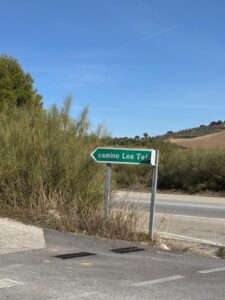 “La mejora de la movilidad en Ronda no pasa por construir más carreteras, sino por mejorar las existentes”