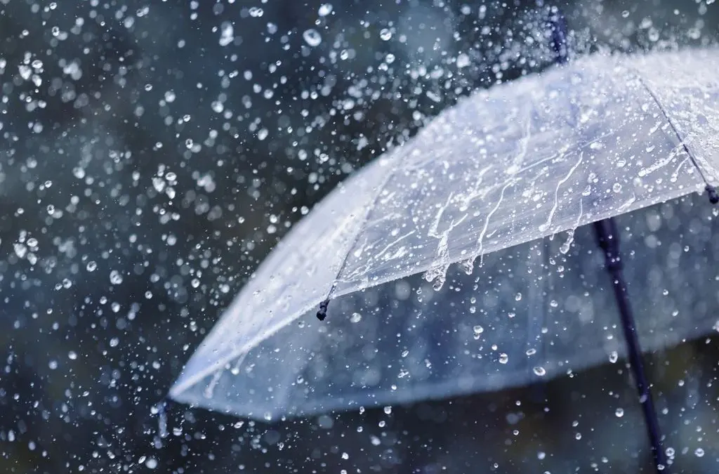 Aviso importante en Ronda y Serranía ante la previsión de lluvias intensas este sábado