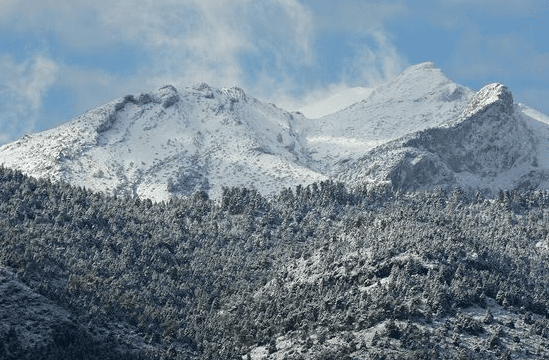 La Serranía amanece nevada y los alrededores de Ronda se visten de un paisaje de pleno invierno