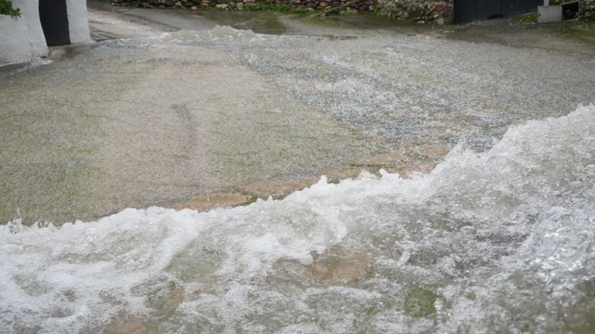 lLUVIA