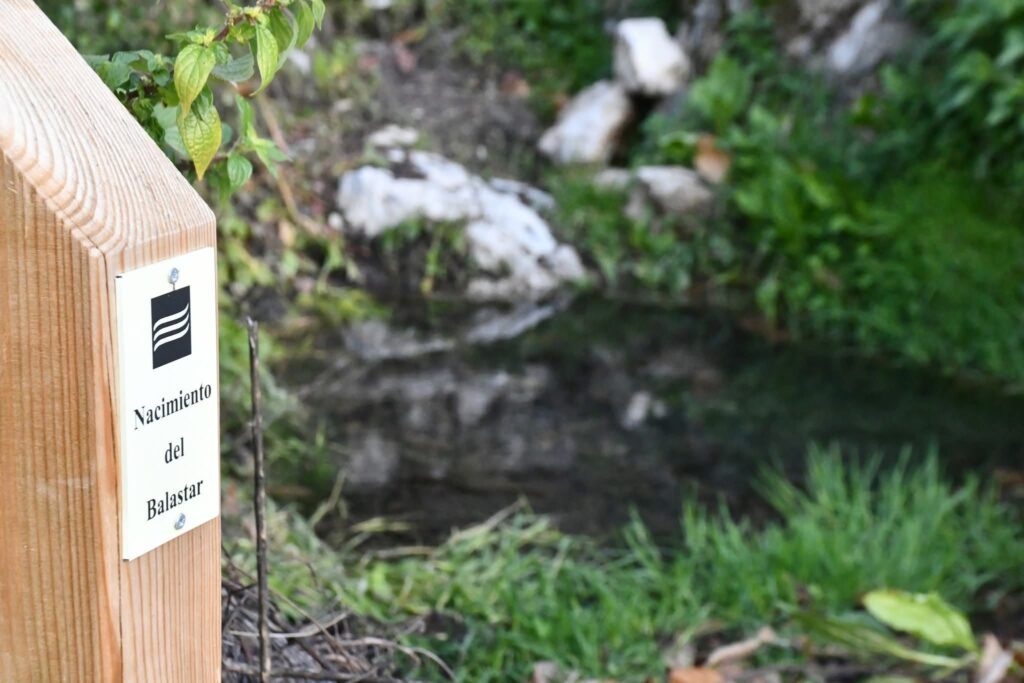 Noticias de Ronda y la Serranía 3 Noticias de Ronda y la Serranía