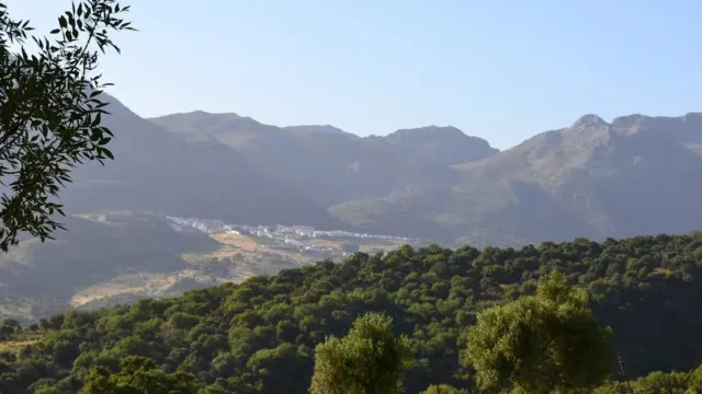 Vacaciones en la Serranía de Ronda: experiencias imprescindibles para descubrir uno de los grandes tesoros de Andalucía