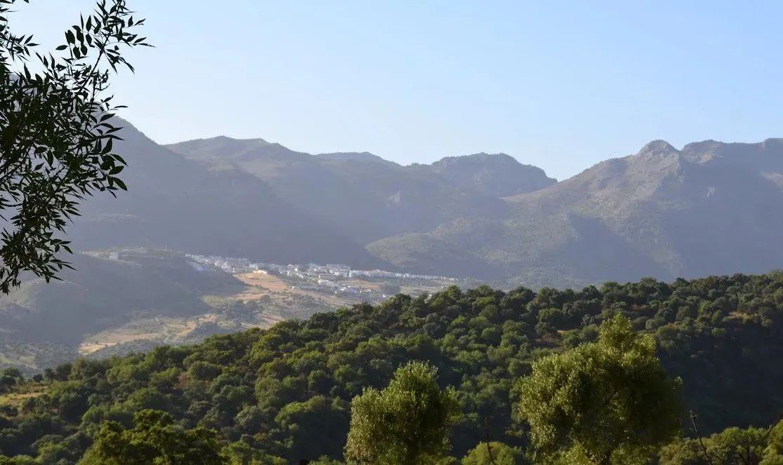 Vacaciones en la Serranía de Ronda: experiencias imprescindibles para descubrir uno de los grandes tesoros de Andalucía
