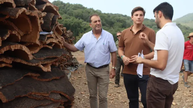 A la venta el corcho de los Montes de Propio de Ronda por más de 800.000 euros