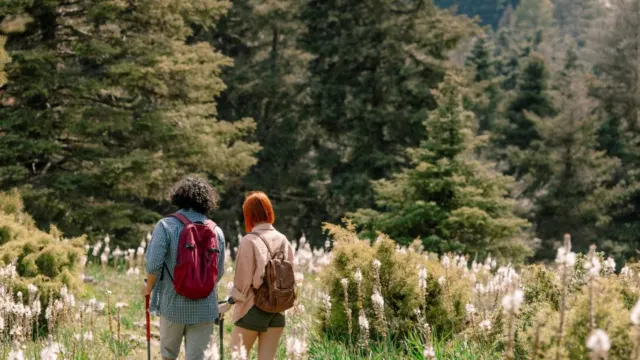 La Reserva Mundial de la Biosfera Sierra de las Nieves busca impulsar la participación juvenil con la creación de su Red de Jóvenes