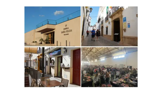 Bodega Doña Felisa Viña Amaya, Hotel Montelirio, La Taberna y la Feria de la Chacina de Benaoján, Premios Puente del Turismo 2026