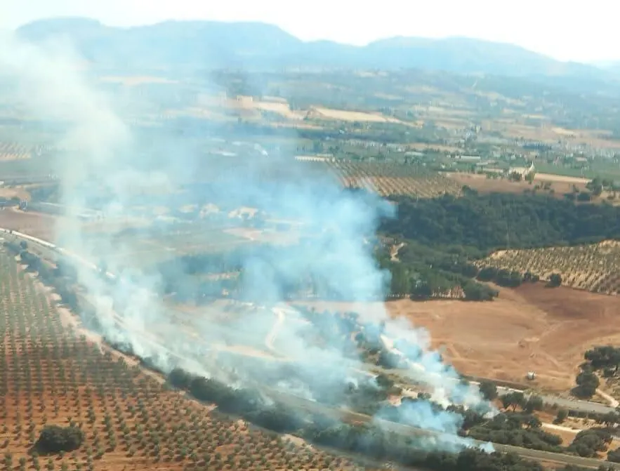 El Infoca da por extinguido el incendio forestal de La Parchite tras quemarse 1,2 hectáreas