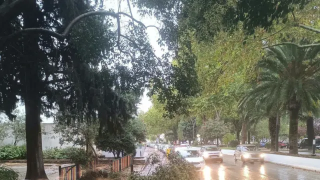 El temporal deja un reguero de inundaciones, daños y más de medio centenar de avisos en Ronda