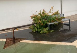 El temporal deja un reguero de inundaciones, daños y más de medio centenar de avisos en Ronda 1 El temporal deja un reguero de inundaciones, daños y más de medio centenar de avisos en Ronda